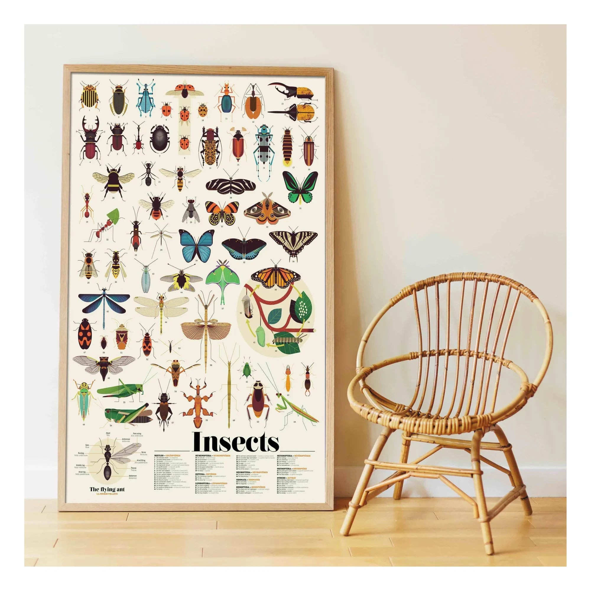 Poppik - Insekten Sticker Poster