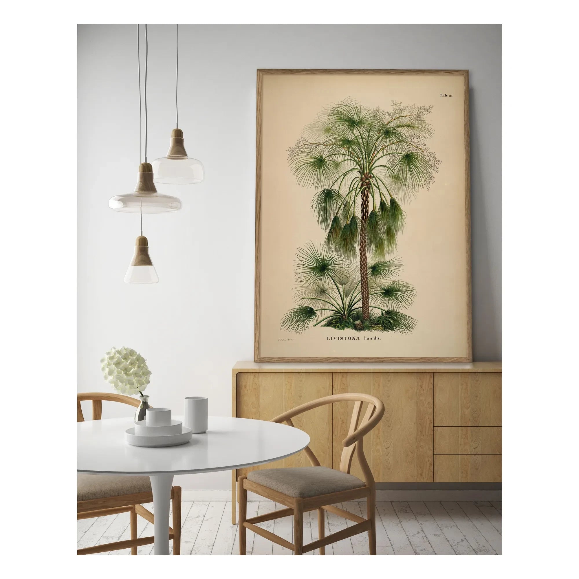 The Dybdahl Co. - Livistona Humilis Poster
