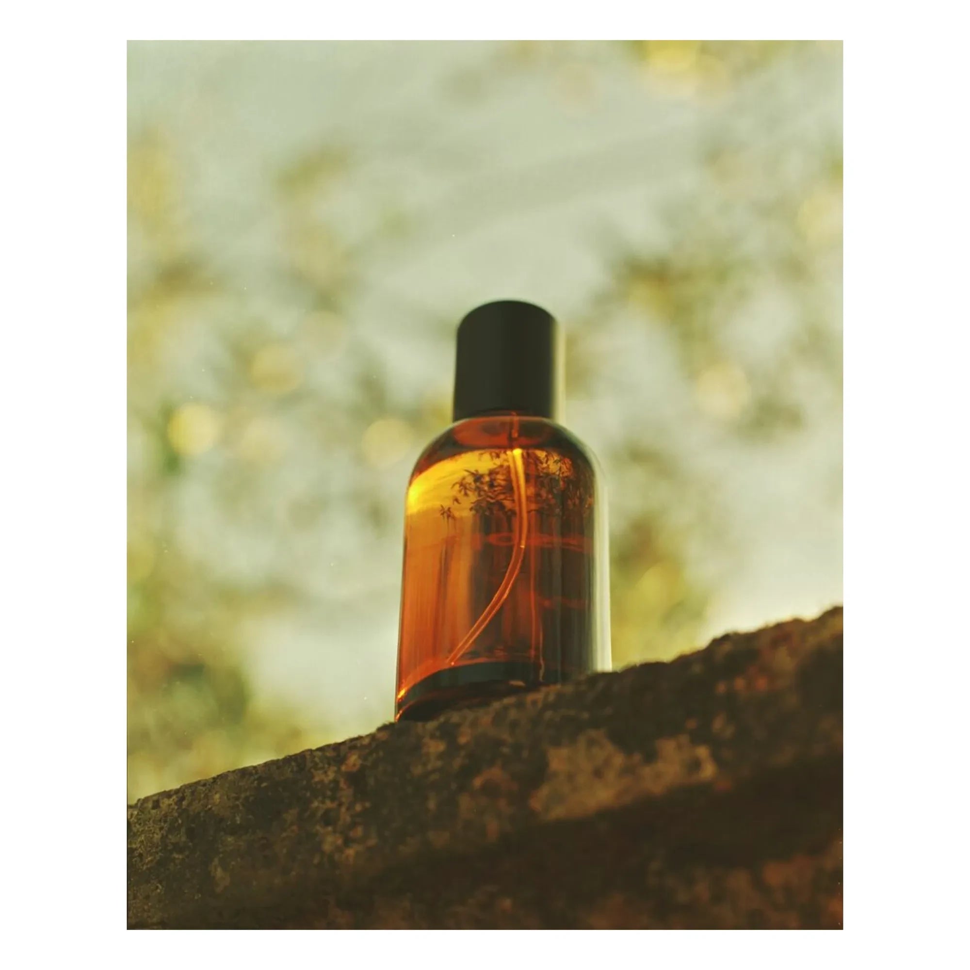 Aesop - Eau de Parfum Virēre - 50 ml