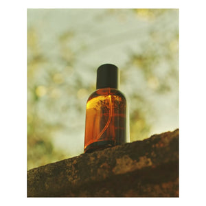 Aesop - Eau de Parfum Virēre - 50 ml