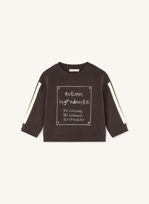 Fliink - Alvin Herbst Organischer Baumwollpullover | Braun
