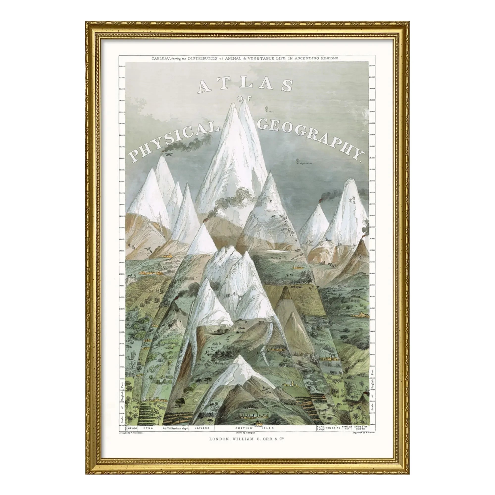 The Dybdahl Co. - Poster Physische Geografie Atlas