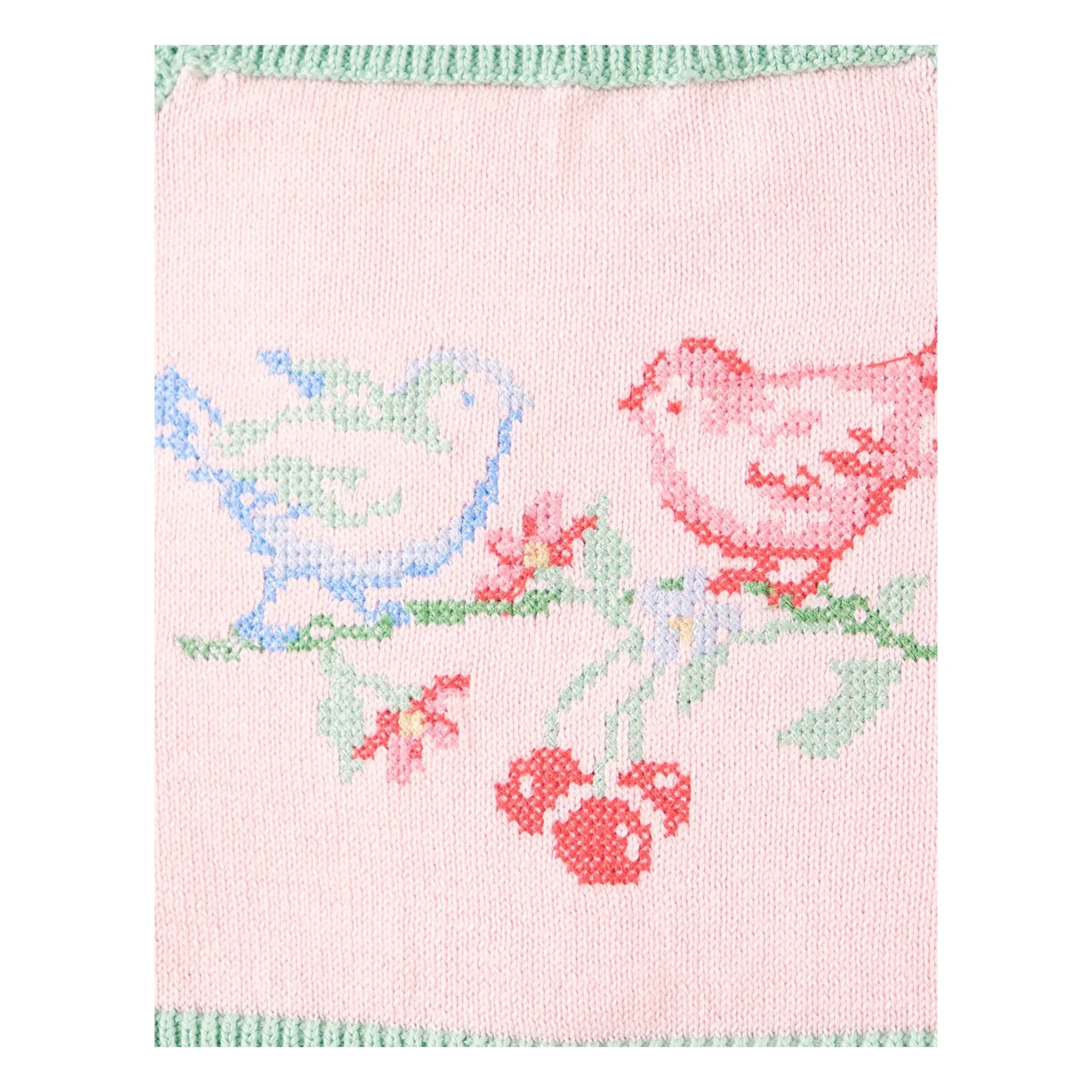 Gingersnaps - Blassrosa | Besticktes Rosenspitzen-Crop-Top