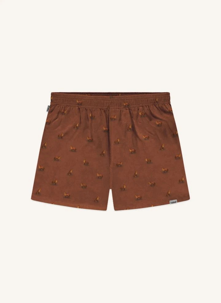 Pockies - Fox Boxershort | Braun