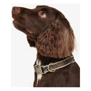 Barbour - Reflektierendes Tartan-Hundehalsband | Dunkelbraun