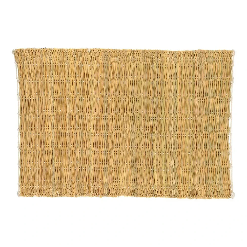 Cosydar - Fußmatte - 36 x 22 cm