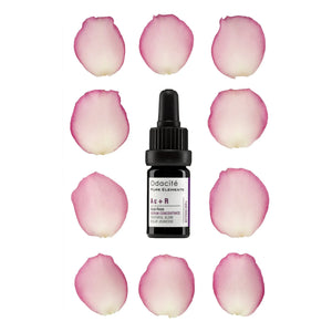 Odacité - Ac+R Acai + Rose Jugendglanz Serum Konzentrat