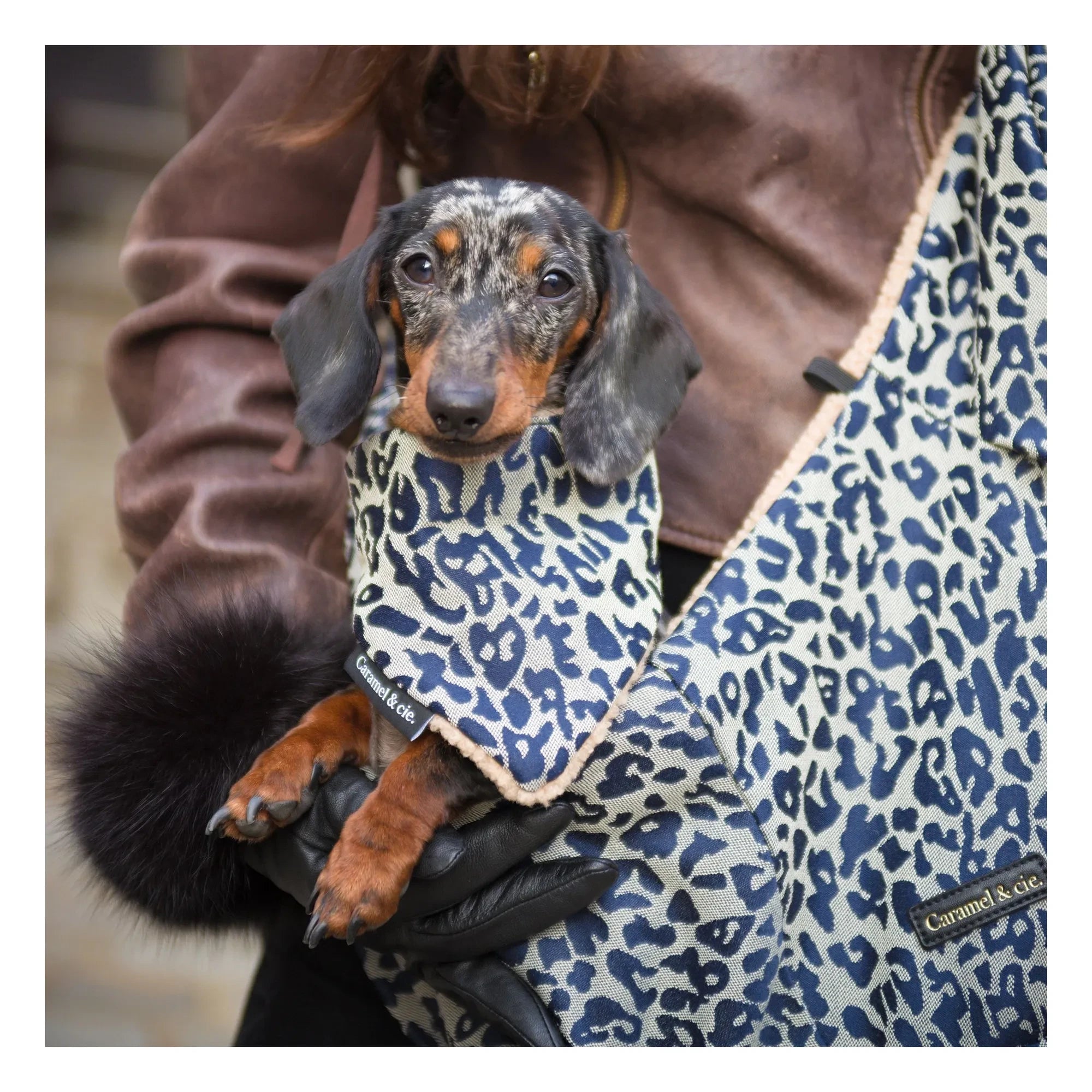 Caramel & Cie - Umhängetasche Leopardenhund Promenade | Grau