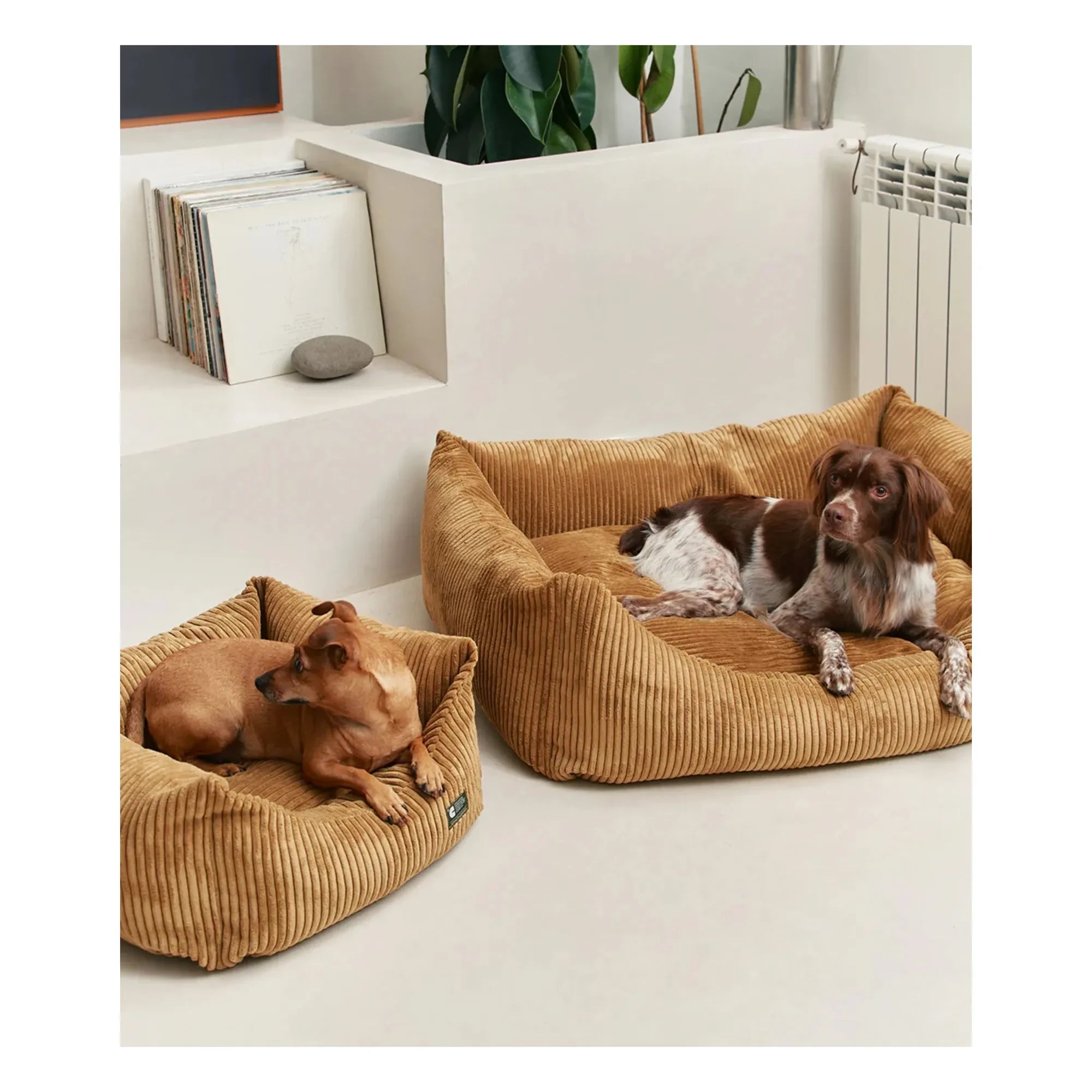 Cafide - Snozy Samt-Hundebett | Senfgelb