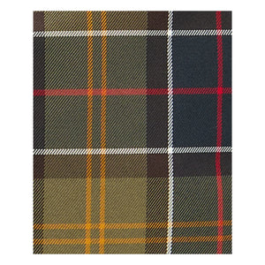 Barbour - Torridon Tartan Tasche | Grün