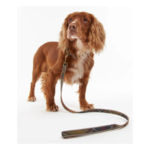 Barbour - Tartan Reflektierendes Hundehalsband | Taupe Braun