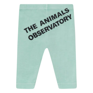 The Animals Observatory - Penguen Tayt | Açık Mavi