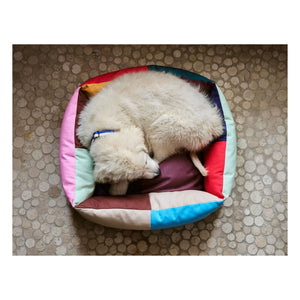 Heu - Hundebett