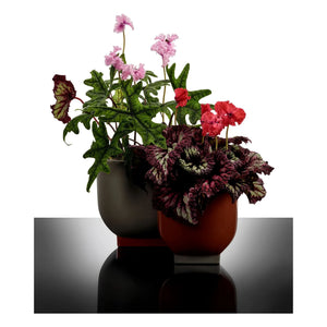 Serax - Cache-pot 02, Kris van assche | Pas