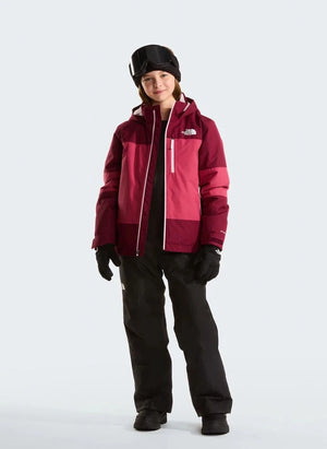 The North Face - Freedom Skijacken | Schwarz