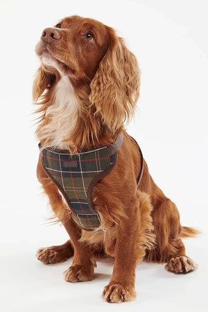Barbour Travel And Exercise Köpek Göğüs Tasması