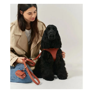 Cafide - Veganes Leder Hundehalsband | Braun
