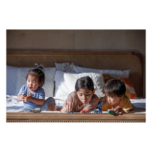 Plan Toys - Mini Holzfahrzeuge - 5er-Set