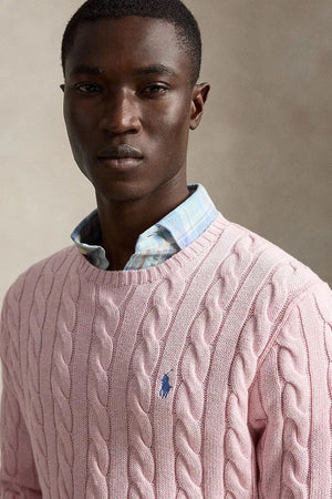 Polo Ralph Lauren erkek pamuklu kazak