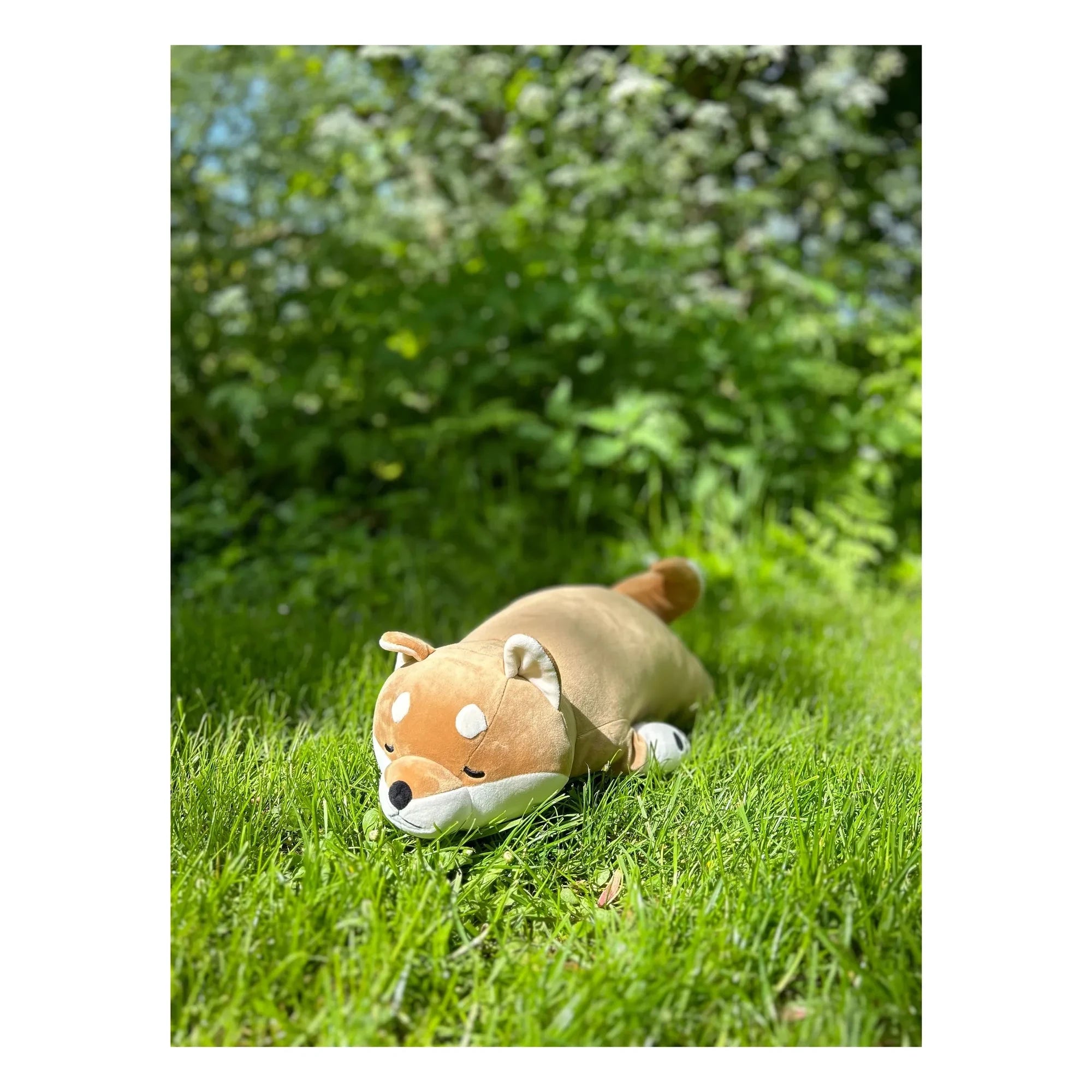 Nemu Nemu - Kotarou Shiba Köpeği peluş oyuncak | Camel