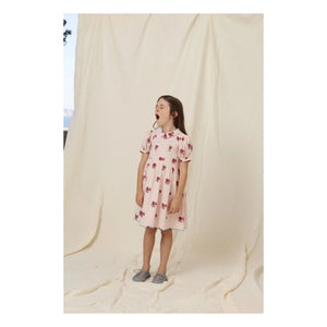 Bebe Organic - April Fleurs Kleid mit gepunkteten Ärmeln | Blassrosa