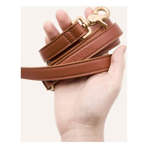 Cafide - 3-fach verstellbares Hundehalsband, veganes Leder | Braun