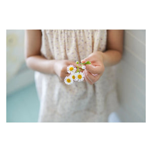 Soor Ploom - Delilah Fleurie Kleid aus Bio-Baumwolle | Ecru