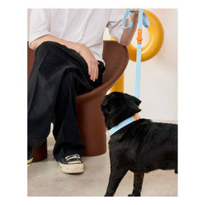 Approved by Fritz - Hundehalsband | Hellblau