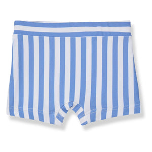 1+ in the family - Morell Gestreifte Badeshorts | Hellblau