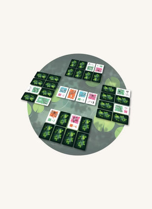 Blackrock Games - Strategiespiel Symbiose