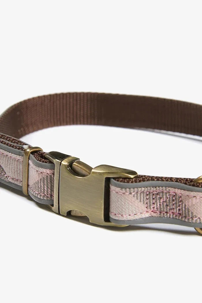 Barbour Köpek Tasması