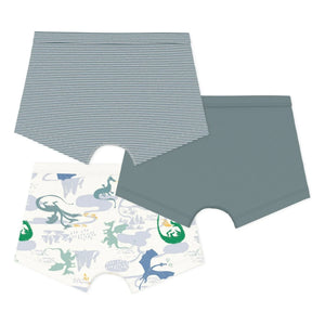 Petit Bateau - 3'lü Organik Pamuklu Dragon Boxer Külot | Yeşil