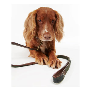 Barbour - Tartan Hundehalsband | Dunkelbraun