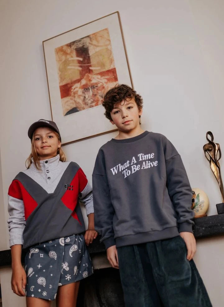 Cos I Said So - "What A Time" Bio-Baumwoll-Sweatshirt | Grau