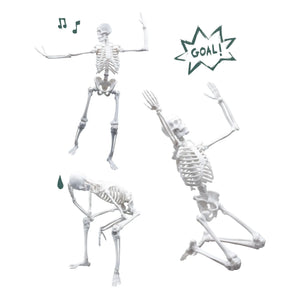 Buki - Skelett 45 cm