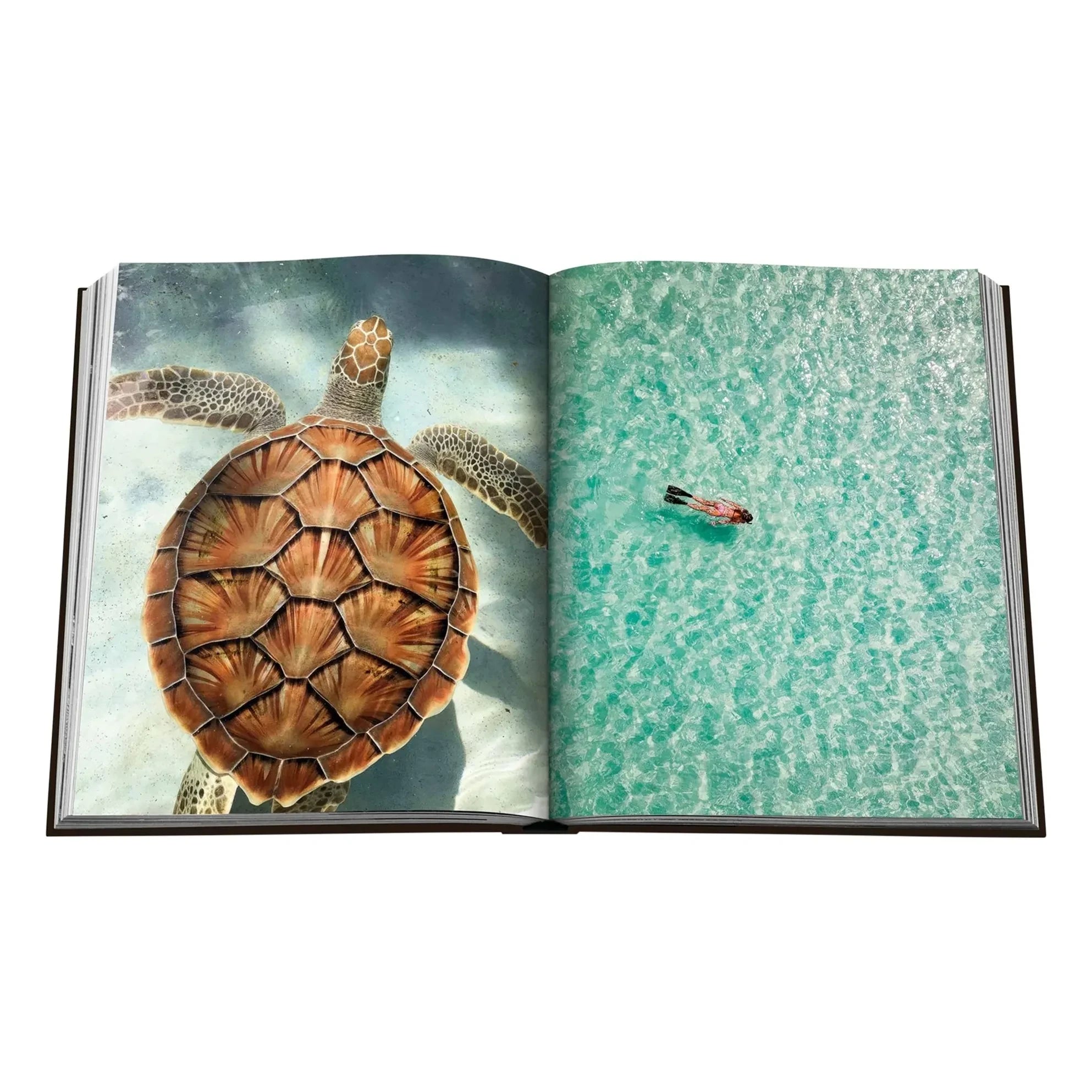 Assouline - Jamaica Vibes
