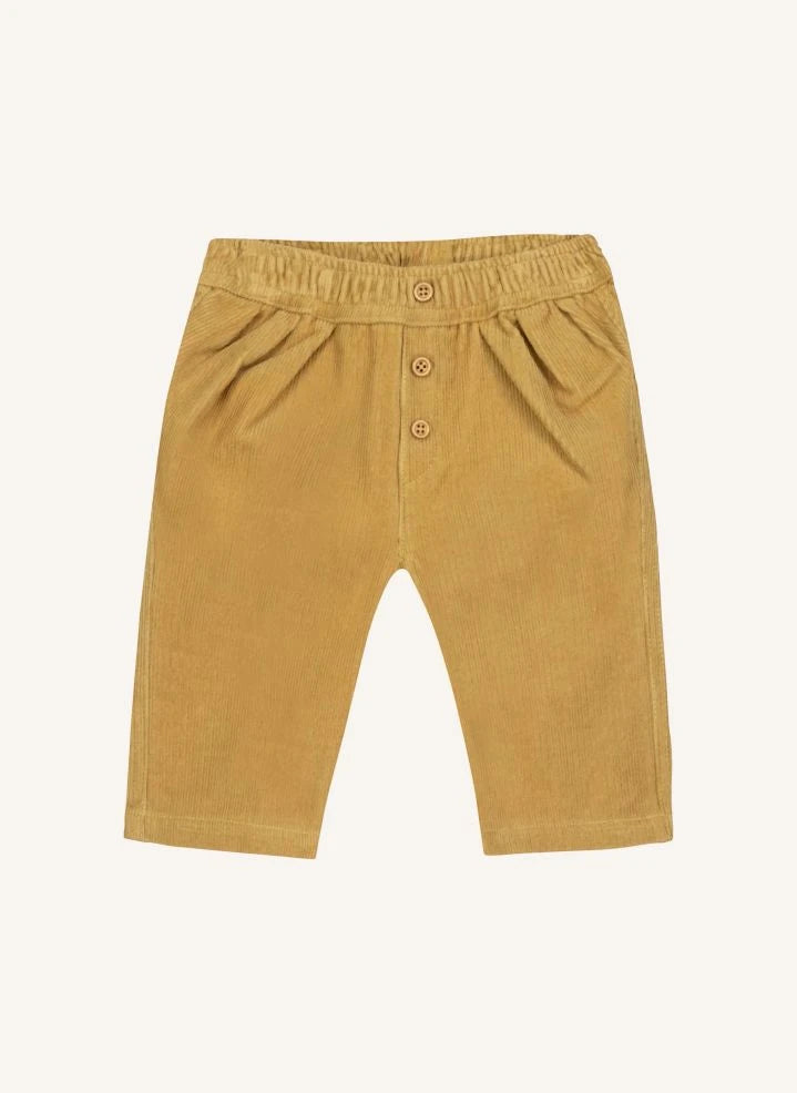 Bonton - Popeye Samt-Hose | Gelb