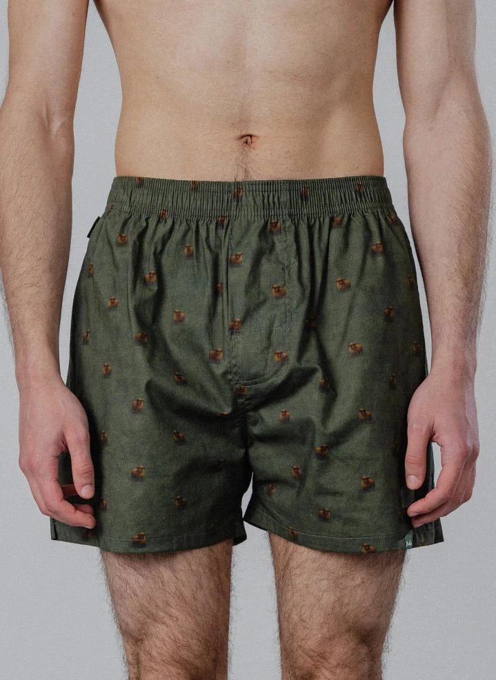 Pockies - Koyun Boxershorts | Grün