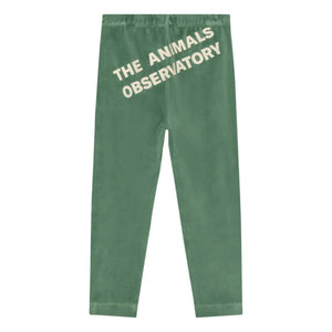 The Animals Observatory - Bukalemun Kadife Tayt | Yeşil