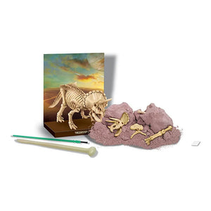 4M - Triceratops Ausgrabungsset