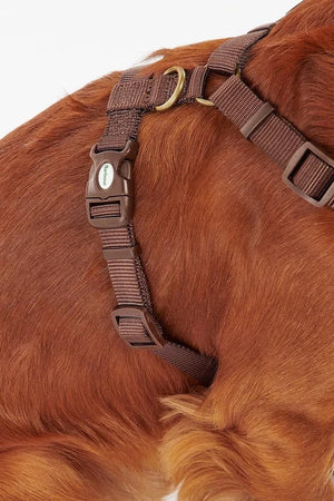 Barbour Travel And Exercise Köpek Göğüs Tasması