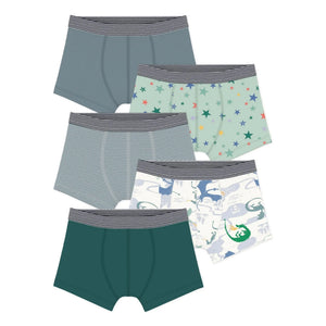 Petit Bateau - 5'li Organik Pamuk Dragon Boxer | Yeşil