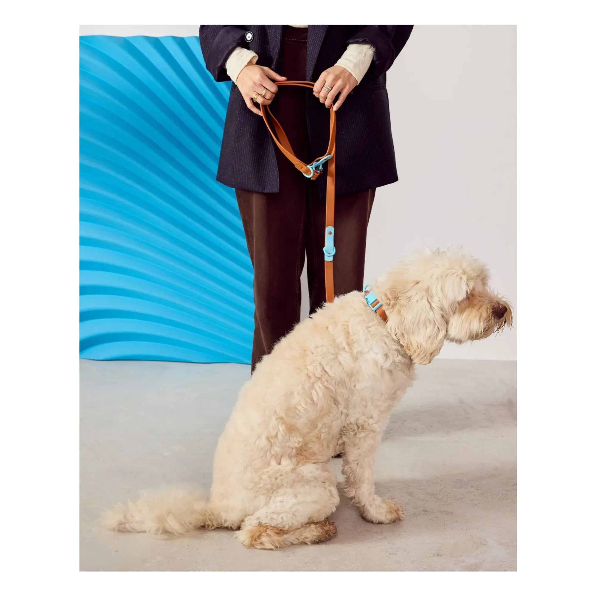 Approved by Fritz - Verstellbares Hundehalsband | Schokolade