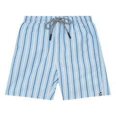 Finger in the nose - Freeboy Gestreifte Badeshorts | Blau