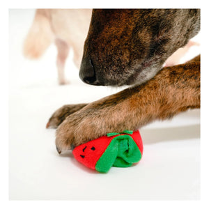 The Furry Folks - Kirschtomate Kratzspielzeug | Tomatenrot