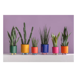 Present Time - Double Funky Blumentopf | Grün