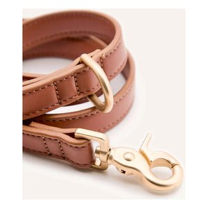 Cafide - 3-fach verstellbares Hundehalsband, veganes Leder | Braun