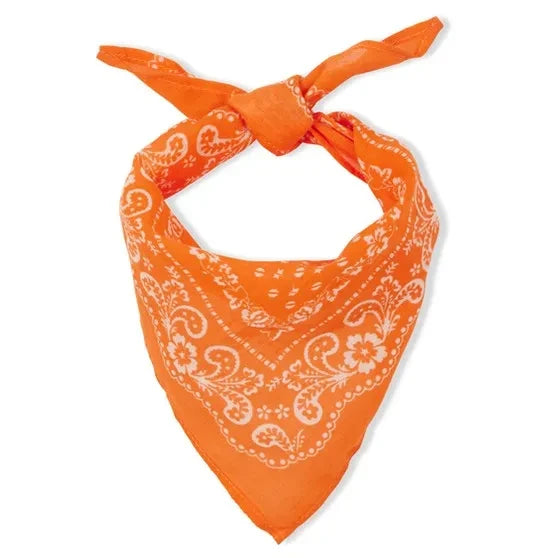 Arsène et Les Pipelettes - Orangefarbenes Bandana