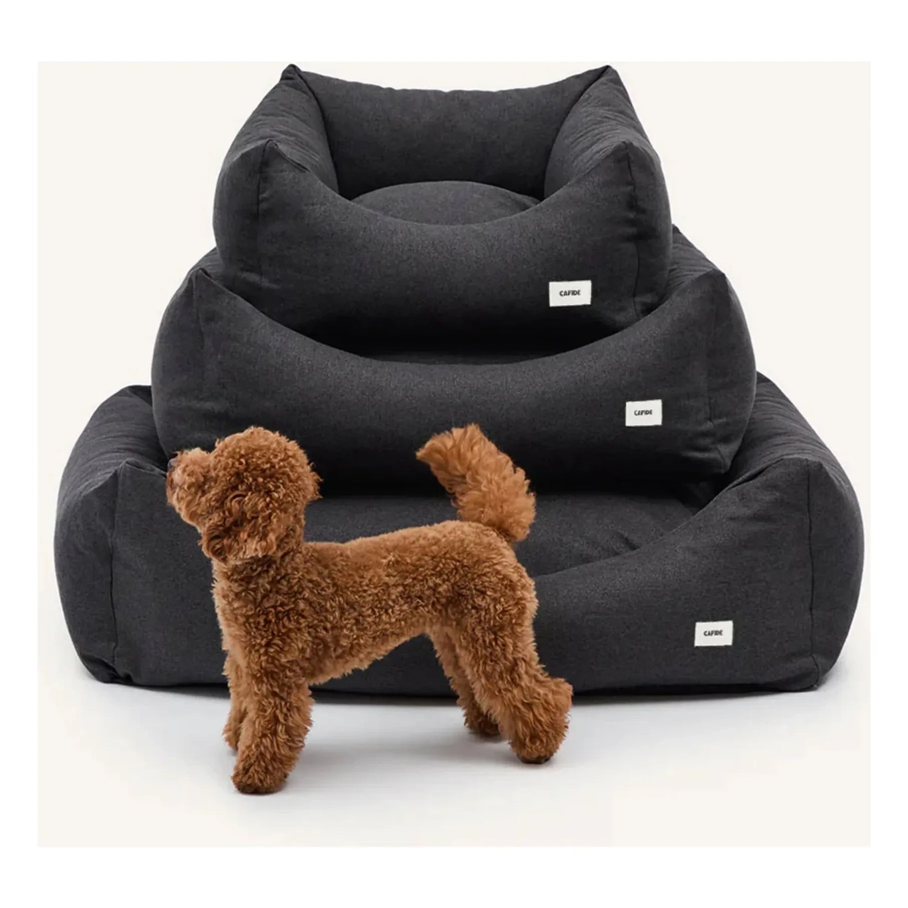 Cafide - Snozy Hundebett | Schwarz