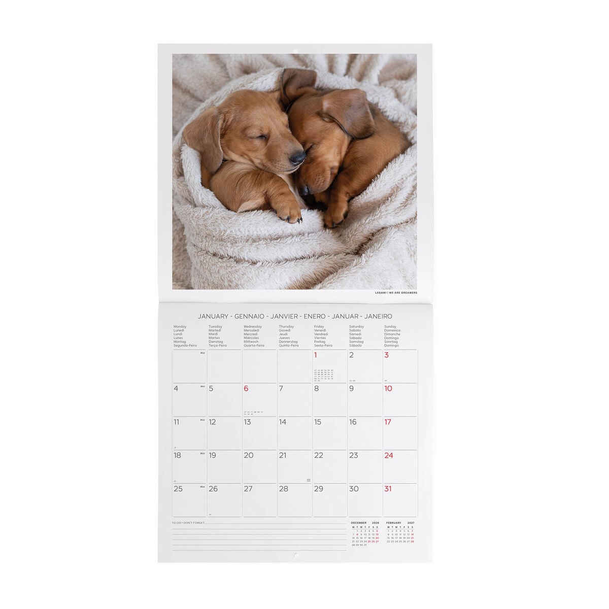 Legami - Puppies 2027 Wall Takvim - 30 x 29 cm